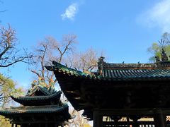 -晋祠公园