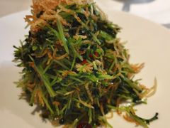 巧拌豆苗-四季民福烤鸭店(王府井灯市口店)