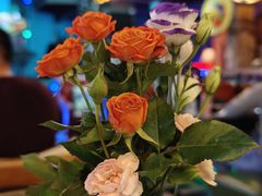 -Famous肥猫墨西哥音乐餐吧(五棵松华熙LIVE店)