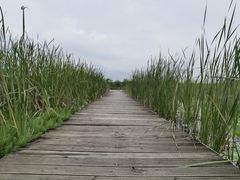 -鄱阳湖国家湿地公园