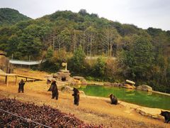 -杭州野生动物世界