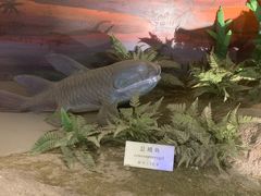 -中国地质大学逸夫博物馆