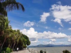 -深圳湾公园(南山区)