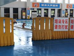 -武钢体育中心恒温游泳馆