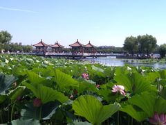 -长春市南湖公园