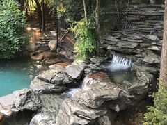 -大鹅岛绿色生态美食园