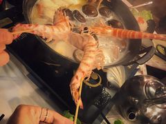 花竹虾-鲜入围煮花胶鸡海鲜火锅