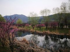 -石塘人家