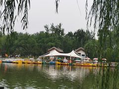 -莲湖公园
