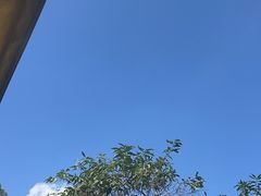 -云禾壹海景庄园餐厅
