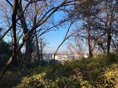 -北极阁公园