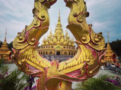 -西双版纳勐泐文化旅游区