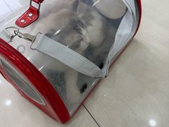 -天宠宠物医院24小时·急重症诊疗中心·全科·腔镜特色(和平分院)