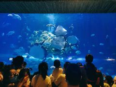 -华夏文旅海洋公园