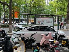 -安工大饼庞家肉饼