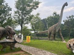 -西部长青自然儿童乐园