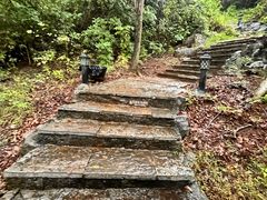 -南宁花花大世界景区