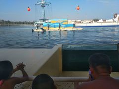 -秦皇岛乐岛海洋王国