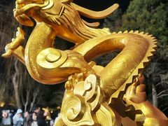 -北京世界公园