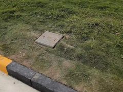 -胜华驾校·小猫学车(银都店)