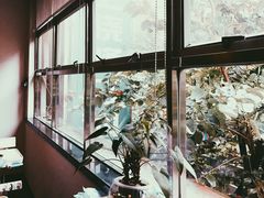 -王晓峰牙科(府前街院区)