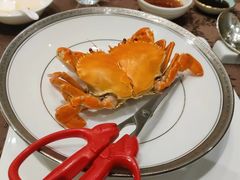 -新光酒家·河豚·海鲜·蟹料理(浦东店)