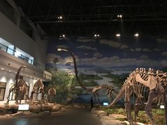 -自贡恐龙博物馆