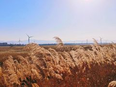 -野鸭湖国家湿地公园
