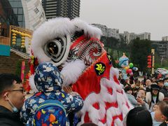-重庆国际马戏城