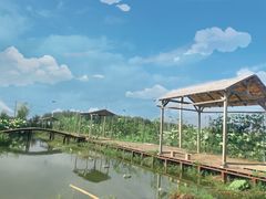 -同銮特种养殖场·龙虾垂钓