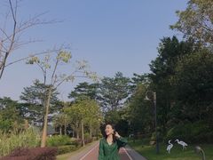 -美的鹭湖森林度假区