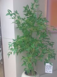 -S庆熙美学皮肤管理