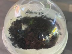 -喜茶(深圳海岸城店)