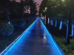 -唐城墙遗址公园