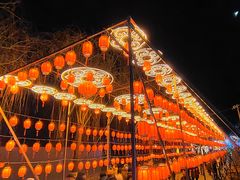 -青龙湖公园