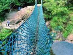 -大奇山国家森林公园