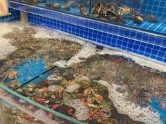 水产区-乔哥铭洋海鲜自助(皇城恒隆广场店)