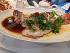 -朱仔记食府(江南大道店)
