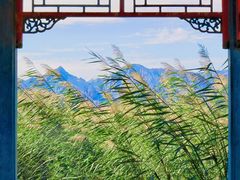 -哈素海