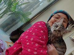 -纳吉亚猫专科动物医院·北北分院