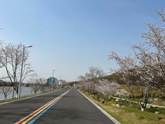 -羊山湖公园