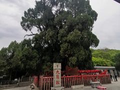 -四门塔风景区