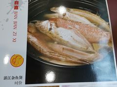 -姚林轩