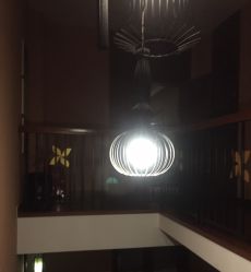-虎杖传说·还元生活馆