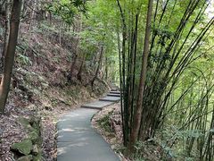 -缙云山景区