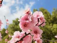 -钟山体育运动公园