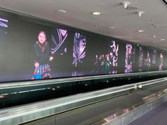 -首尔仁川机场ASIANA LOUNGE贵宾候机室(Incheon)