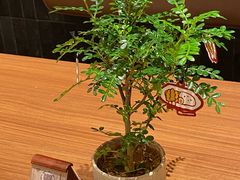 -CURRY YA 熟成咖哩專門店(深圳湾万象城店)