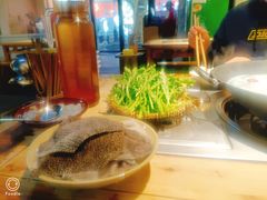 -阳阳老火锅(小南门店)