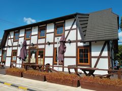 -金山农民画村-枫泾波兰倒置屋